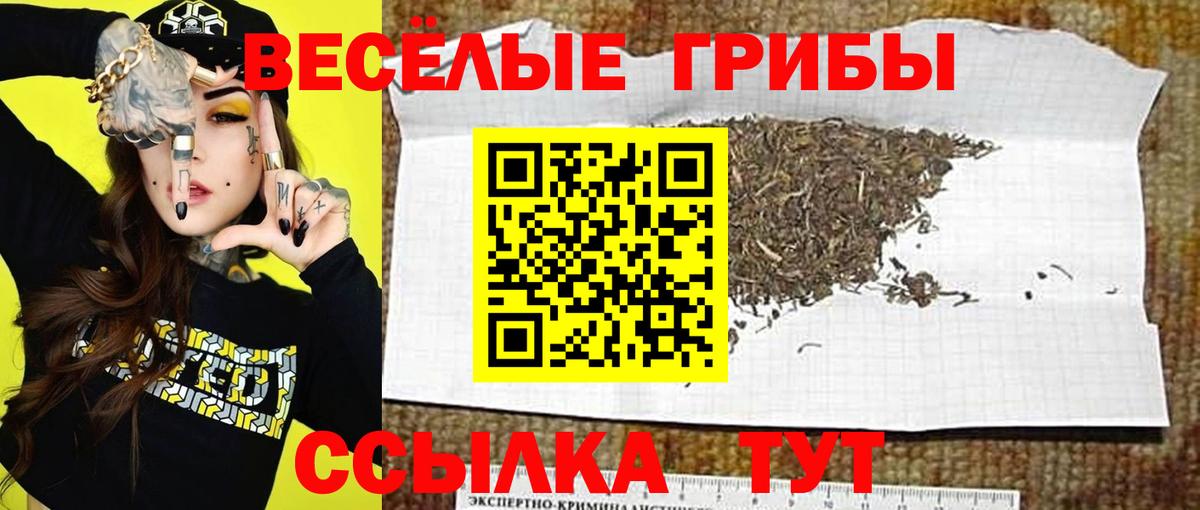 Галлюциногенные грибы мухоморы  Псилоцибиновые грибы мухоморы  Красный Сулин  Вход с VPN 